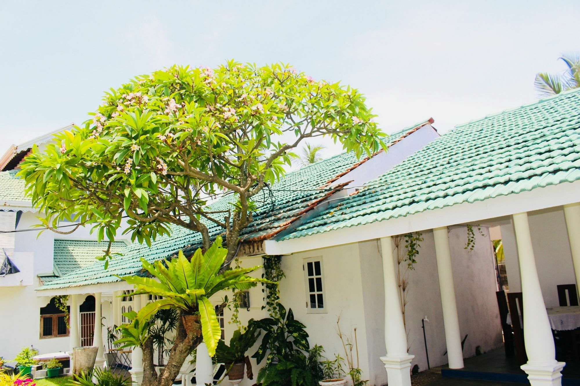 Villa Sri Beach Негомбо Экстерьер фото